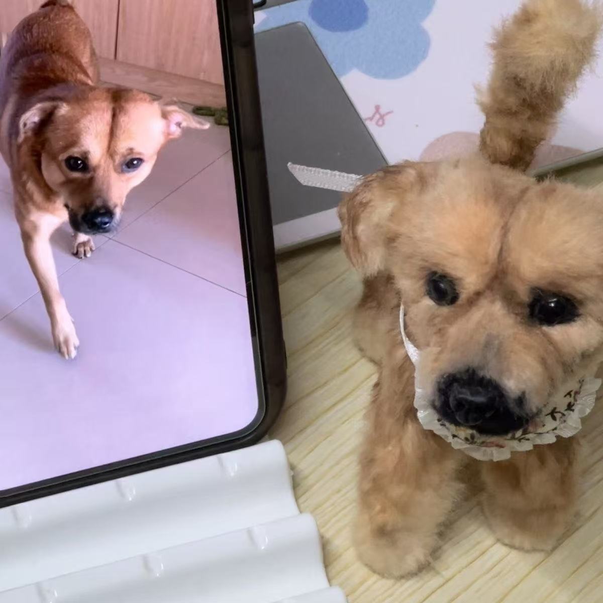 Customized Lovely Cat & Dog Pipe Cleaner Plush Toys-'chat' icon on the left bottom to send photos to us